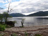 The shores of Loch Lomond.