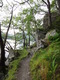 The rough path leading north towards Inversnaid.