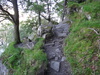 The path heading north from Inversnaid.