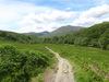 The path heading northeastwards up Glen Falloch.