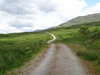 The path heading northeastwards up Glen Falloch.