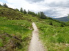 Heading northwestwards through the forest above Crianlarich.