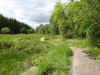 The path leading to the bridge over the River Falloch.