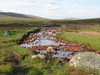 The river at the Kings House Hotel.