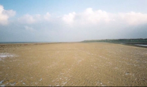 AA24	Looking along the beach near Hunstanton.