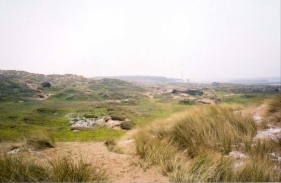 AB07	A view across the sand dunes.