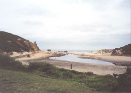 AE30	The beach at Aireys inlet.