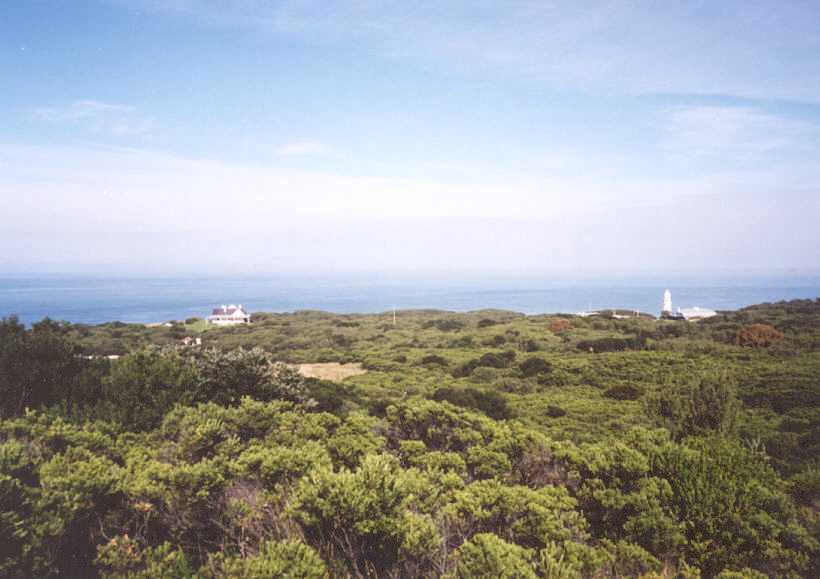 The view from the Cape Otway Lighthouse viewpoint.