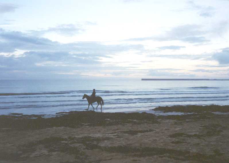 A horserider on Warrnambool beach.