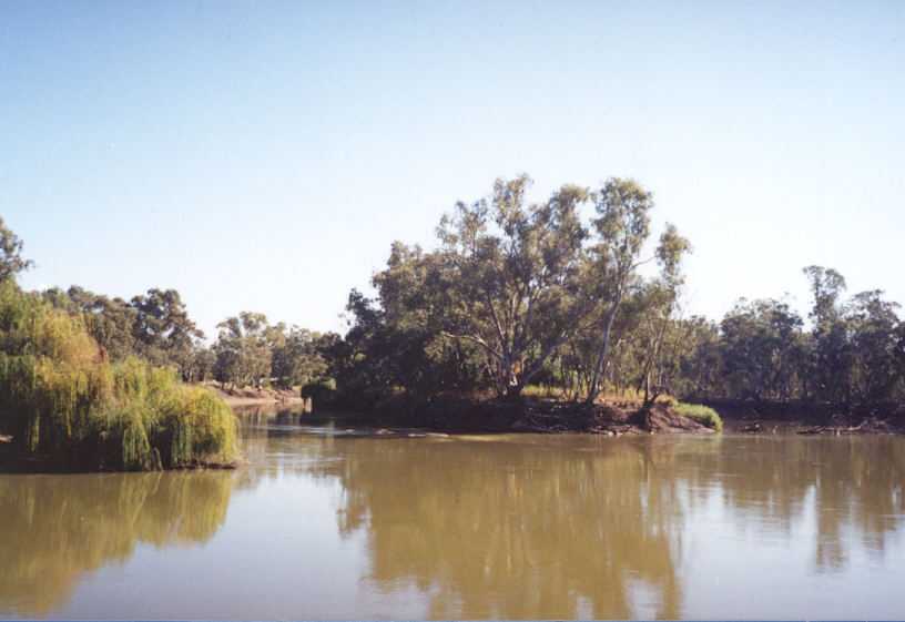 The Murray River viewed from the paddlesteamer.