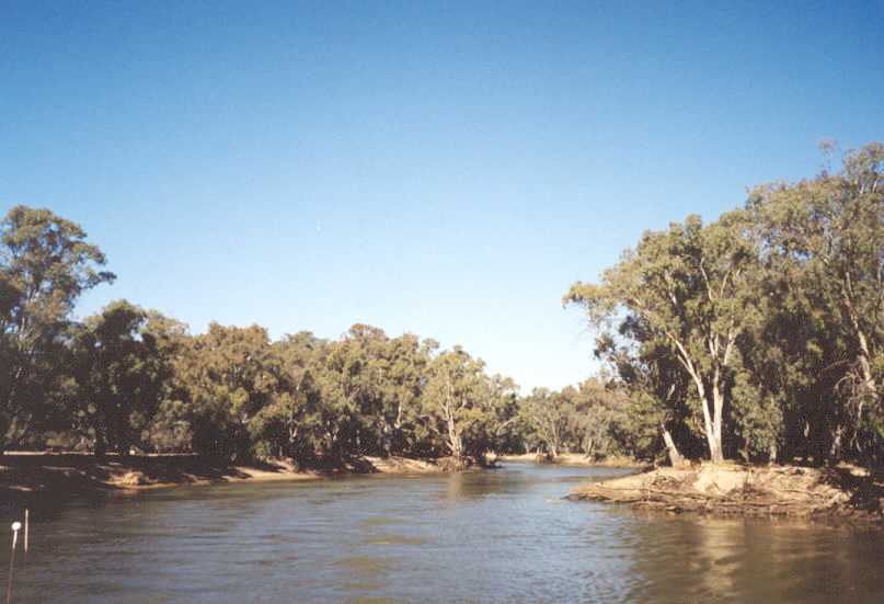 The Murray River viewed from the paddlesteamer.