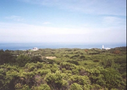 AF01	The view from the Cape Otway Lighthouse viewpoint.