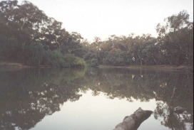 AF30	The Murray River at Swan Hill.
