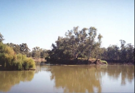 AF34	The Murray River viewed from the paddlesteamer.