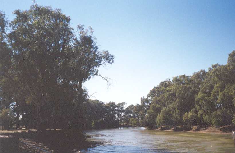 The Murray River viewed from the paddlesteamer.