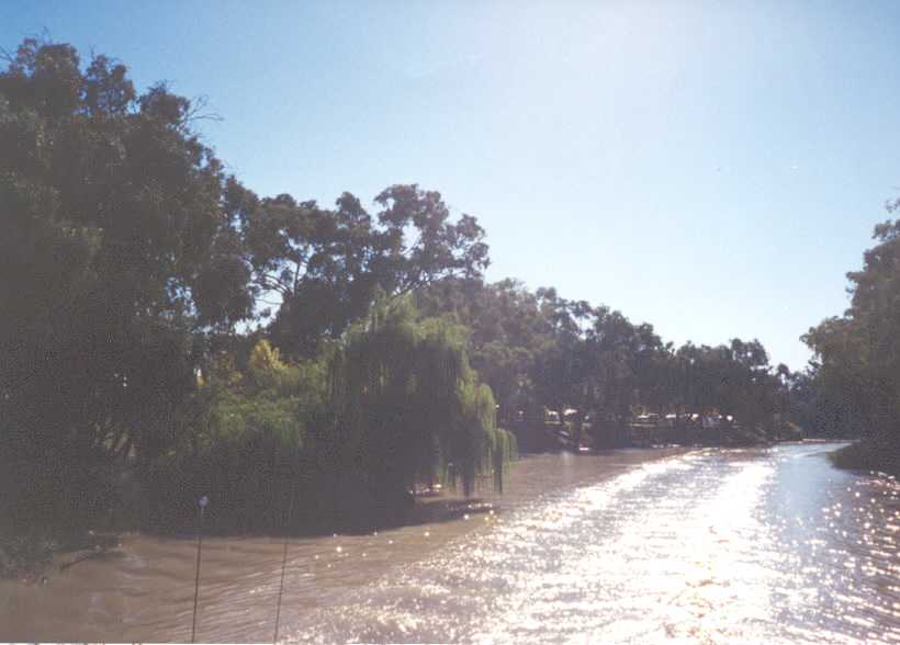 The Murray River viewed from the paddlesteamer.