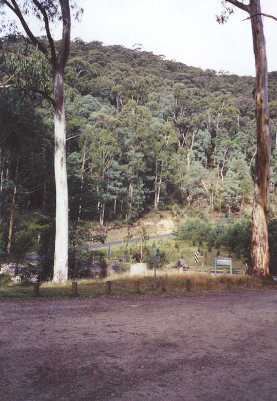 The road viewed from the Leatherbarrel Creek camping area.