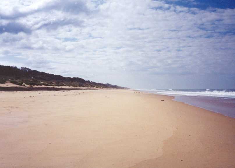 Looking east along Ninety Mile Beach near the Honeysuckles.