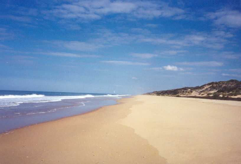 Looking west along Ninety Mile Beach near the Honeysuckles.