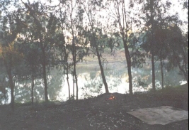 AG05	Campfire beside the Murray River at Piantas bend, near Echucha.