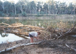 AG08	Sam cutting wood beside the Murray River at Cobram.