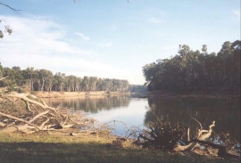 AG09	The Murray River at Cobram.