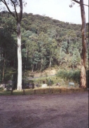 AG24	The road viewed from the Leatherbarrel Creek camping area.