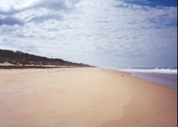 AG34	Looking east along Ninety Mile Beach near the Honeysuckles.