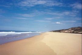 AG35	Looking west along Ninety Mile Beach near the Honeysuckles.