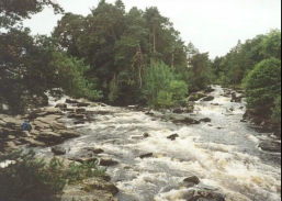 AJ28	The Falls of Dochart in Killin from the bridge.