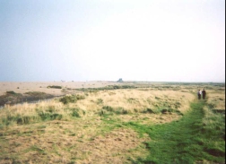 AN15	The view east towards Blakeney Eye.