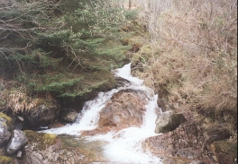 AQ09	A waterfall near the forest track.