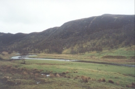 AT05	A herd of deer crossing the Abhainn a' Ghlinne Mhoir.