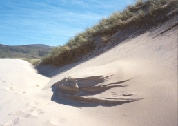 AW11	Wind-sculpted sand in the dunes.