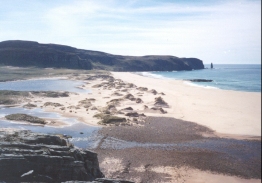 AW17	Looking down on the beach and the dunes.