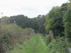 PA060010	Looking south along the towpath north of the A5 