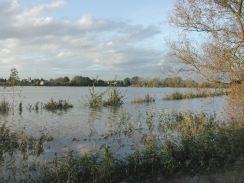 PA230041	Looking across the flooded fields towards the station from Clayhithe.