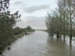 PA230048	Looking north along the river from Bottisham Lock.