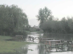 PA230058	Looking south along the river at The Plough in Fen Ditton