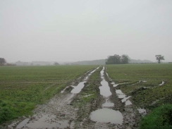 PB240155	Looking along the muddy track near Brampton Old Hall.