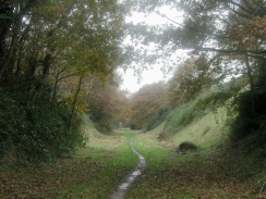 PB250181	Looking southwest along the old railway line at Knapton Cutting.