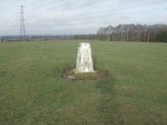 PC260256	The Bagot's Park Trig Point.