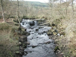 PC280311	The waterfall at Pont Cwmyfedwen in the Taf Fechan Forest.