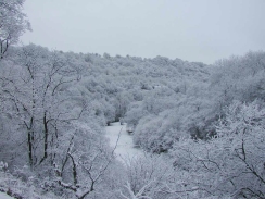 PC290319	The Cwm Taf Fechan valley looking like a wonderland in the snow.