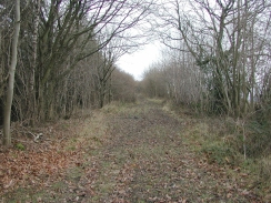 P1200442	Looking west along the green lane.