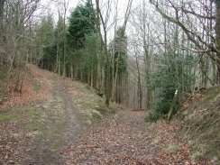 P1200443	The descent down through woodland to Eaton.