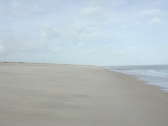 P2090005	Looking north along the beach.