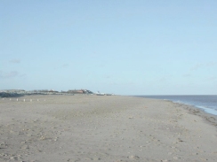 P2090014	The view north along the beach.