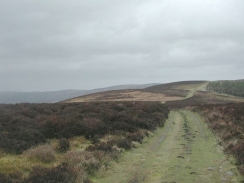 P3100034	Looking north along the track at the top of the Long Mynd.