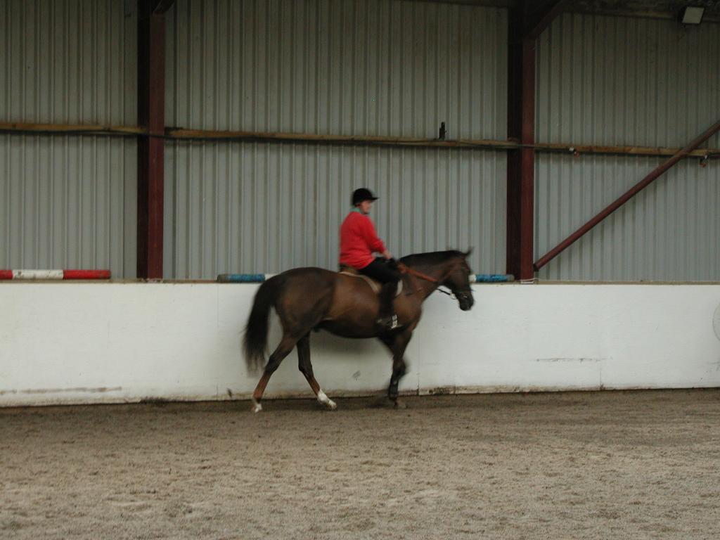 A disabled lady riding a horse.